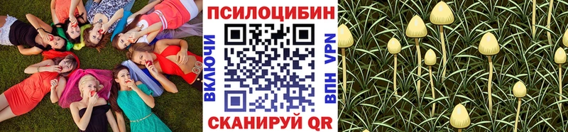 кракен сайт  Пущино  Галлюциногенные грибы Psilocybine cubensis  хочу наркоту 