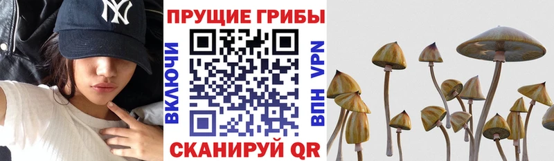 Галлюциногенные грибы мицелий Пущино